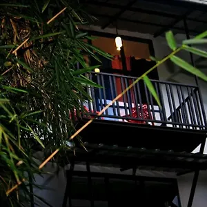  Villa Avocado India
